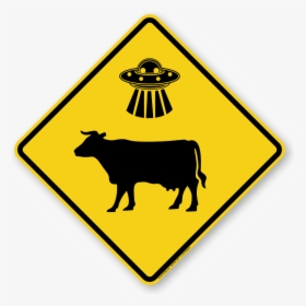 Funny Traffic Signs - Golf Cart Road Sign, HD Png Download, Free Download