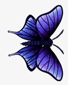 Moth-bright - Papilio, HD Png Download, Free Download