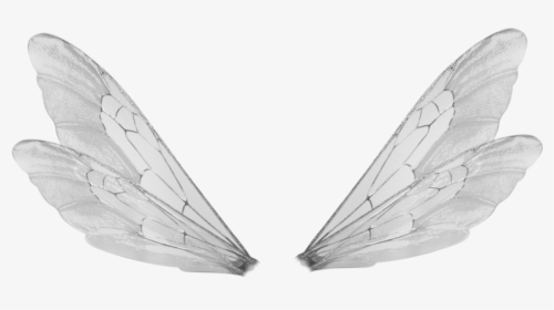 Fairy Wings Transparent, HD Png Download, Free Download
