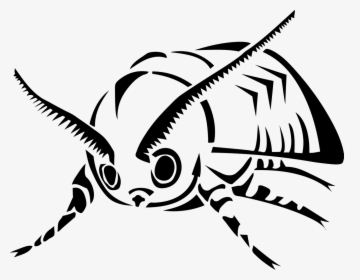 Drawn Moth Long Wing - มอด การ์ตูน, HD Png Download, Free Download