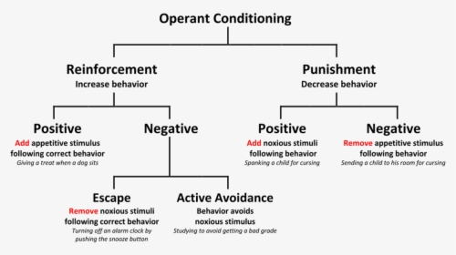 Operant Conditioning, HD Png Download, Free Download