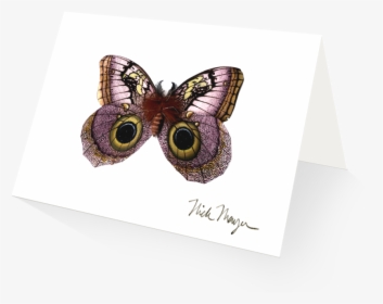 Owl Butterfly - American Painted Lady, HD Png Download, Free Download