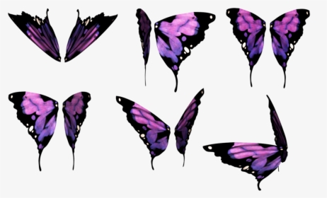 Butterfly Wings Png, Transparent Png, Free Download