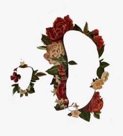 Transparent Photo Album Clipart - Shawn Mendes Flower Album, HD Png Download, Free Download