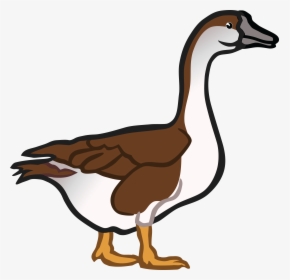 Free Clipart Of A Goose - Singular And Plural Duck, HD Png Download, Free Download