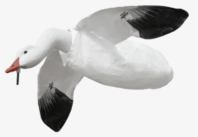Decoy Duck White, HD Png Download, Free Download