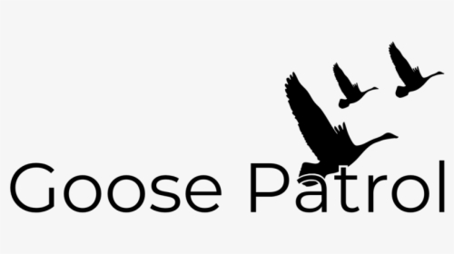Geese Flying Png, Transparent Png, Free Download