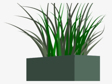 Transparent Tall Grass Png - Transparent Png Flower Box, Png Download, Free Download