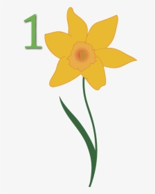 Daffodil Clipart April - Narcissus, HD Png Download, Free Download