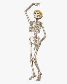 Drawing Grateful Dead Skeleton, HD Png Download, Free Download