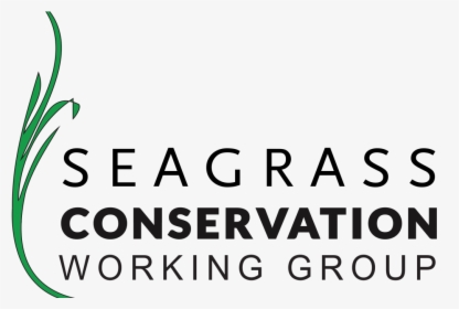 Welcome To Our New Website - Seagrass Conservation Logo, HD Png Download, Free Download