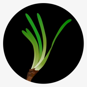 Seagrass Icon, HD Png Download, Free Download