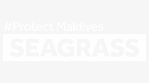 Protect Maldives Seagrass ~ - Abacus Emedia, HD Png Download, Free Download