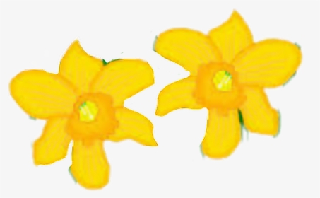 #narcissus - Narcissus, HD Png Download, Free Download