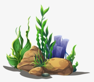 Transparent Office Plant Png - Seaweed Clipart Png, Png Download, Free Download