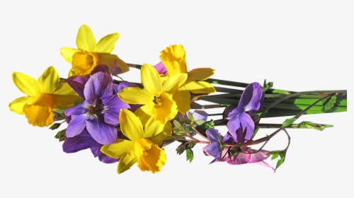 Transparent Group Of Flowers Clipart - Yellow Purple Flowers Png, Png Download, Free Download