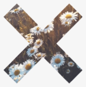 Transparent Flower Cross Png - Transparent X, Png Download, Free Download