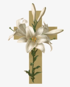 Transparent Easter Lily Png - Flowers For Funeral Programs, Png Download, Free Download