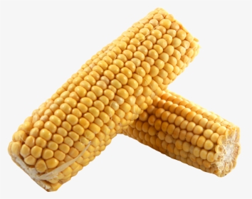 Corn Png Image - Dent Corn Png, Transparent Png, Free Download