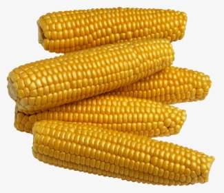 Corn Kernels,corn On The Cob,sweet On The Cob,produce,food - Pulses Meaning In Malayalam, HD Png Download, Free Download