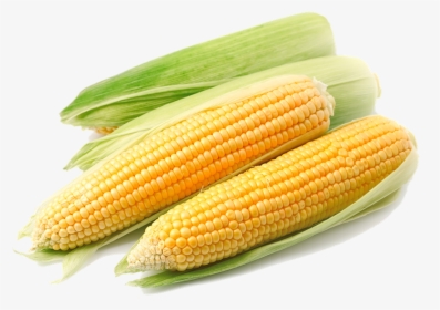 Corn Png Transparent Background, Png Download, Free Download