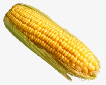 Corn On The Cob Png - Corn Transparent, Png Download, Free Download