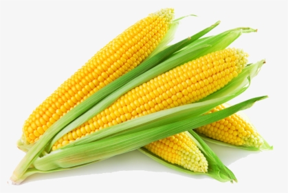 Download Sweet Corn - Corn Png, Transparent Png, Free Download