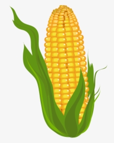 Corn Clipart Simple Clip - Clipart Of Corn, HD Png Download, Free Download