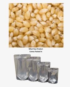 Amish Country Baby White Popcorn Kernels, HD Png Download, Free Download