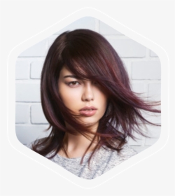 Hair Color Winter Trends Hd Png Download Kindpng