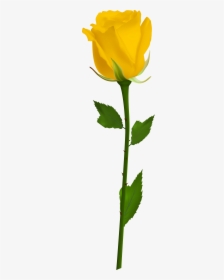 Yellow Rose Clip Art Png Image Primavera - Yellow Rose Clip Art, Transparent Png, Free Download