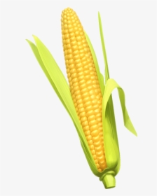 Corn On The Cob Corn Whiskey Cornbread Maize Clip Art - Mazorca De Maiz Png, Transparent Png, Free Download