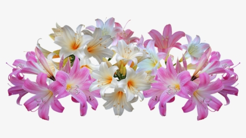 Transparent Lily Png - Easter Lilies Transparent Background, Png Download, Free Download