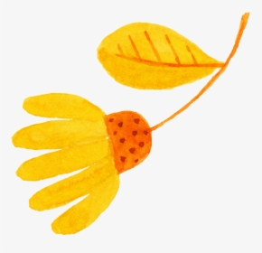 Transparent Flower Bud Png - Pedicel, Png Download, Free Download