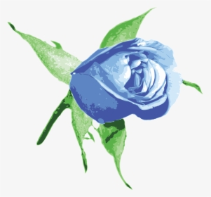 Plant,flower,rose Order - Transparent Png Blue Rose Png Hd, Png Download, Free Download
