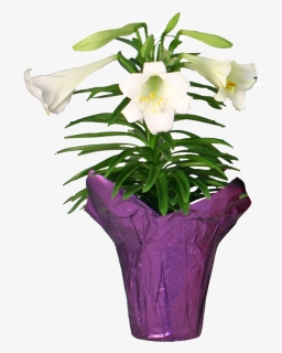 Transparent Easter Lilies Png - Lily, Png Download, Free Download