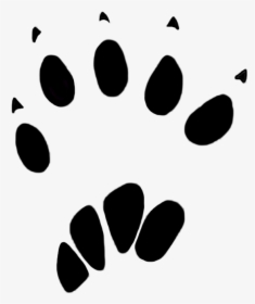 Squirrel Paw Print 20-25 Mm - Animal Track, HD Png Download, Free Download