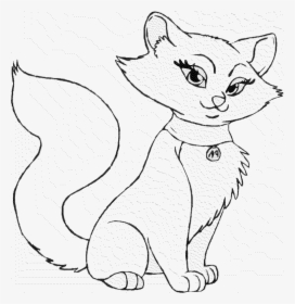 Best Female Cat Coloring Pages Free 916 Printable Coloringace - Persian Cat Colouring Pages, HD Png Download, Free Download