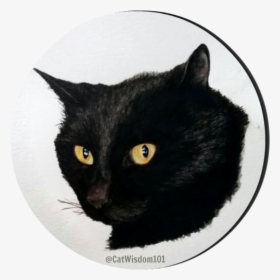 Clyde Cat Art Watercolor - Black Cat, HD Png Download, Free Download