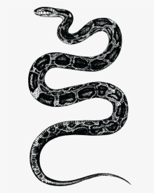 Rattlesnake Clipart Snake Mask - Snake T Shirt Mens, HD Png Download, Free Download
