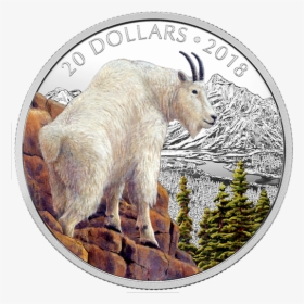 Mountain Goat, HD Png Download, Free Download