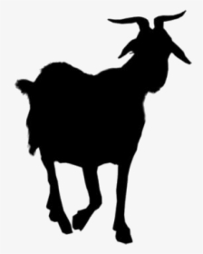 Transparent Mountain Goat Clipart - Goat, HD Png Download, Free Download