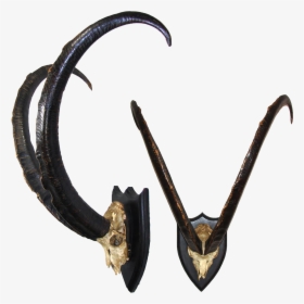 Mountain Goat Horns Png Transparent, Png Download, Free Download