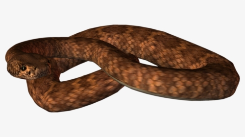 Animated Snake Gif Png, Transparent Png, Free Download