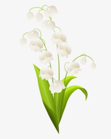 Transparent Easter Border Png - Lily Of The Valley Stem, Png Download, Free Download