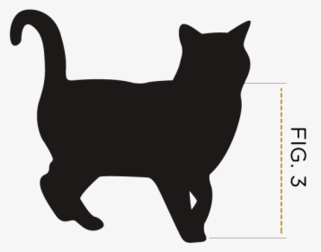 Black Cat Vector Png, Transparent Png, Free Download