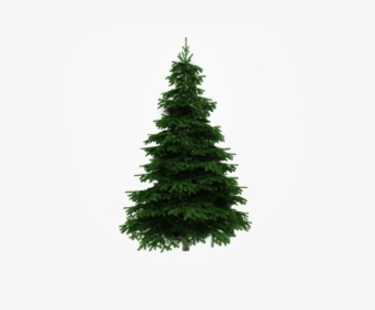Christmas Tree Decorations 2019, HD Png Download, Free Download