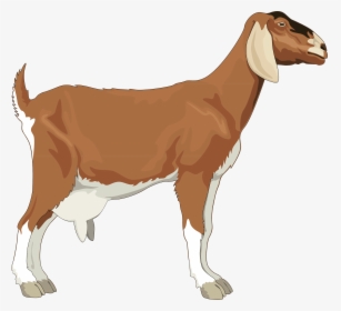Realistic Goat Clipart, HD Png Download, Free Download