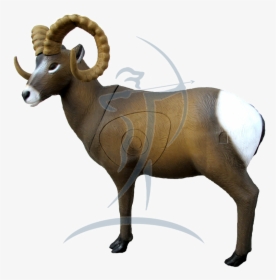 Srt Rocky Mountain Goat - 3d Bighorn Sheep Target, HD Png Download, Free Download