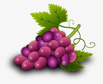 Grapes Vine Vineyard Wine Png Image Clipart , Png Download - องุ่น Clipart, Transparent Png, Free Download